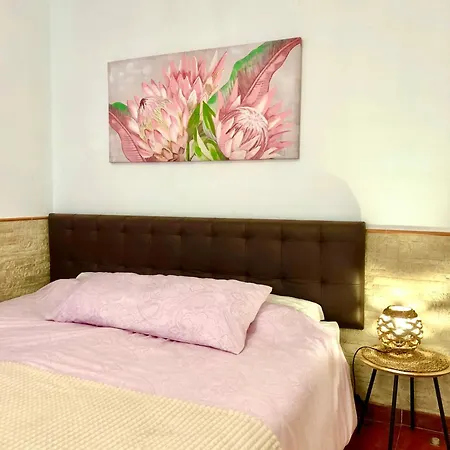 Casa Buganvilla Гостевой дом 3*