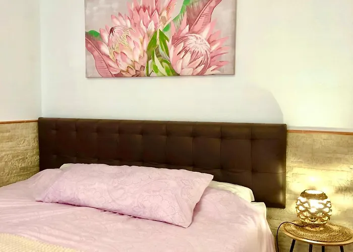 Casa Buganvilla Gasthuis 3*