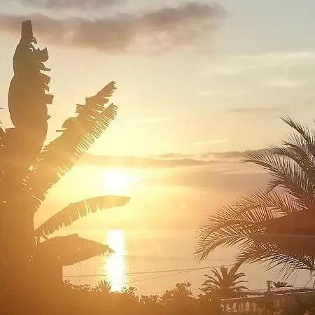 Πανσιόν Casa Buganvilla Λος Ρεαλέχος