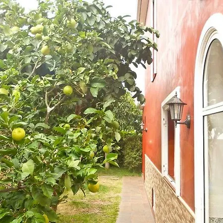 Πανσιόν Casa Buganvilla Λος Ρεαλέχος